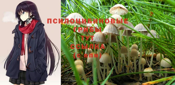 МДМА Армянск