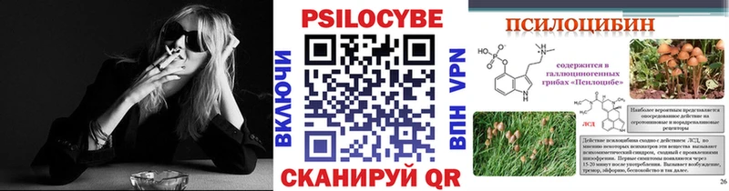 Галлюциногенные грибы Psilocybe Игра